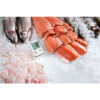 Starterset Datenlogger Testo 174 T  Temperatur Software Download - Kopie