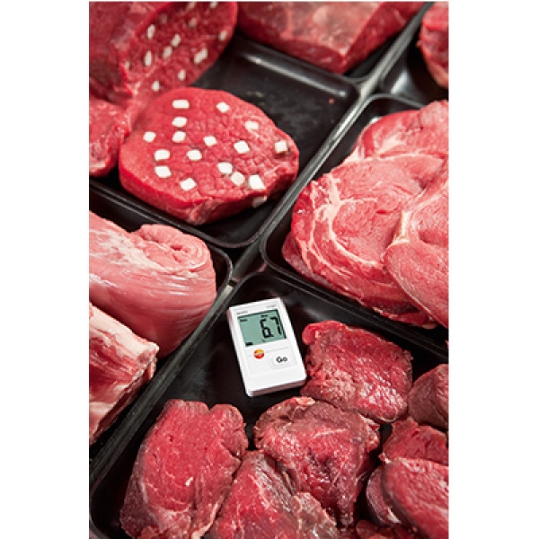 Starterset Datenlogger Testo 174 T  Temperatur Software Download - Kopie